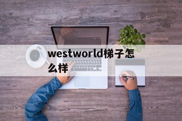 westworld梯子怎么样，westworld加速器官网入口